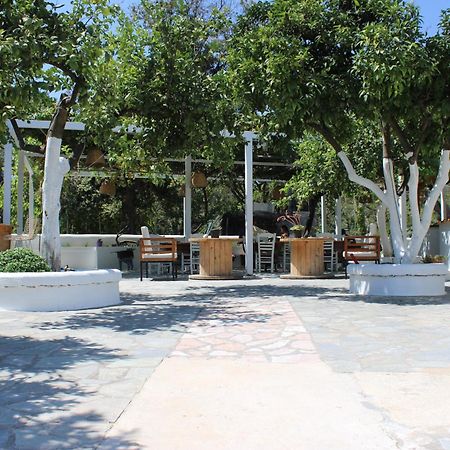 Sarakiniko  Villa Nouli מראה חיצוני תמונה